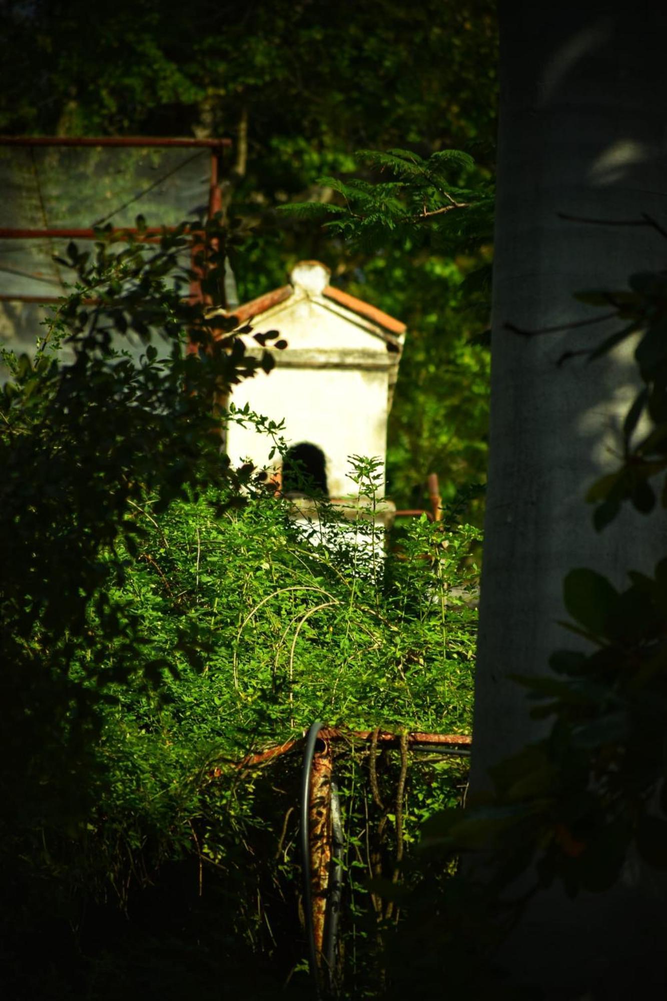 Hotel Nudista - Luz De Luna Nude Tehuixtla ภายนอก รูปภาพ